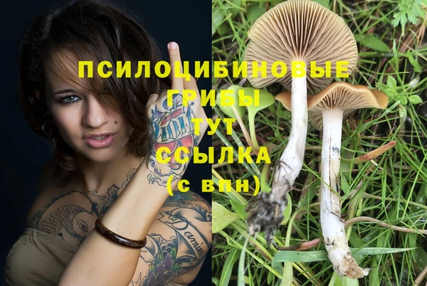 наркотики Алзамай