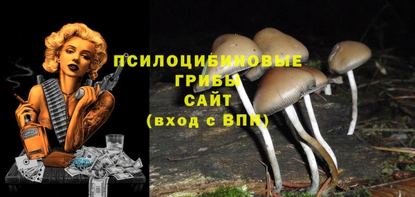 тгк Абинск